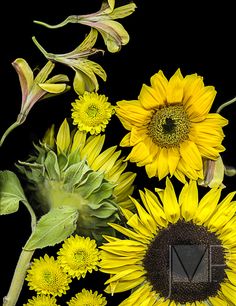 sunflowers and other flowers are arranged together