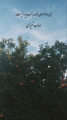 an orange tree with the sky in the background and arabic writing on it's branches