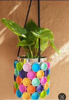 a potted plant hanging from a rope with colorful circles painted on it and a black cord