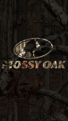 the mossy oak logo is shown in this dark forest scene with trees and branches