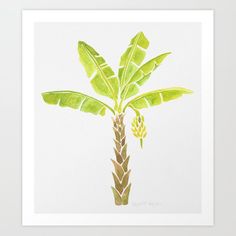 a watercolor painting of a banana tree with green leaves on white background art print