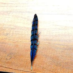 a blue feather resting on top of a wooden table