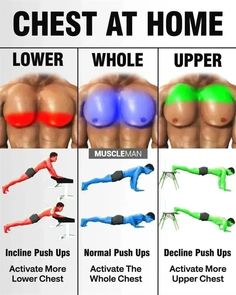 the chest and lower back muscles are highlighted in this poster, which shows how to use different