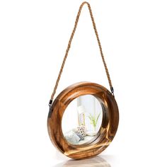 a mirror hanging on a rope with a potted plant in it