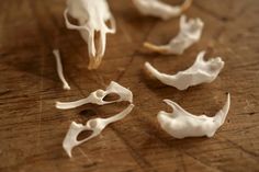 several pieces of animal tooth on a wooden table with one being cut in half and the other missing