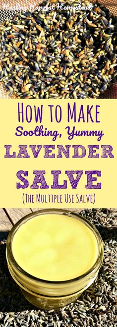 How to Make Glorious Soothing Lavender Salve (Smells Amazing and Has Multiple Uses!) — All Posts Healing Harvest Homestead Lavender Salve, Herbal Salves, Healing Salves, Herbal Healing, Natural Home Remedies, Medicinal Herbs, Natural Home