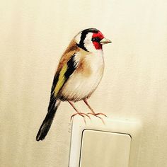 a bird sitting on top of a light switch