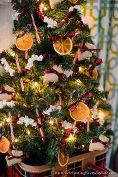 a christmas tree decorated with orange slices and candy canes