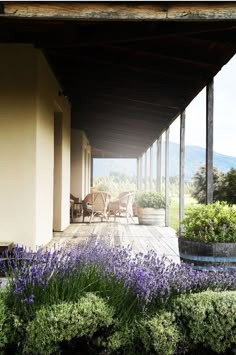 an outdoor covered patio with lavenders and chairs