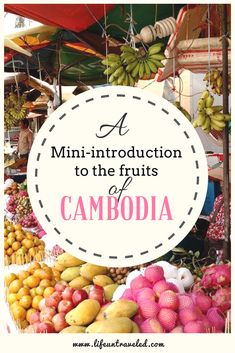 a bunch of fruits with the words a mini - instruction to the fruits of cambodia