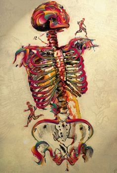 a drawing of a human skeleton with multiple colored lines on it's chest and arms