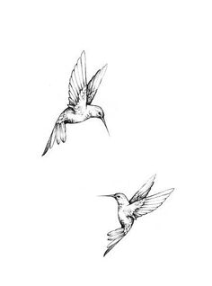 two birds flying in the air with one bird on its back and another bird on it's side