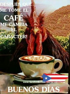 a coffee cup and saucer with a rooster in the background that reads, despues que me toteme el cafe de cambia el carnacder