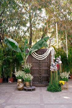 a wooden door surrounded by greenery and potted plants