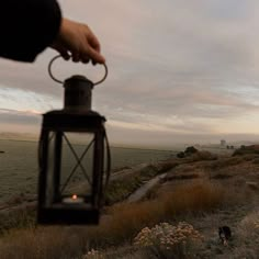 a person holding a lantern in the middle of a field with a dog walking by