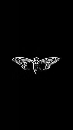 a black and white photo of a moth on a dark background with the words,