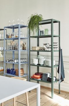 a room with shelves filled with various items and plants on them in the middle of it