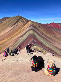 two llamas are sitting on the ground in front of a colorful mountain range