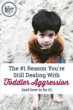 a young boy sitting in the sand with text overlay that reads, the 1 reason you're still dealing with toddler aggression & how to fix it