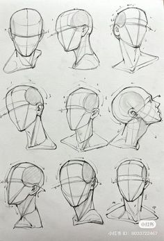 sketches of the head and neck of an egyptian woman with various angles to show it's features