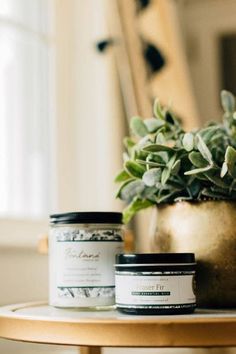 two candles are sitting on a table next to a potted plant