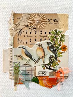 altered photograph of birds and music notes on white paper with orange ribbon around the edges