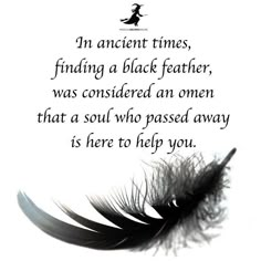 Law Of Attraction Quotes, Practical Magic, Black Feathers, Spell Book, Book Of Shadows, Anthropology