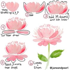 step by step instructions on how to paint watercolor flowers