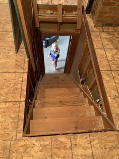 a dog is walking up the stairs to its owner