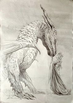 a pencil drawing of a dragon and a woman holding a flower in her hand, both facing each other