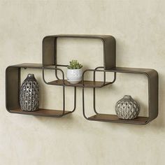 two metal shelving shelves with pots on each shelf, one holding a succulent and the other holding a potted plant