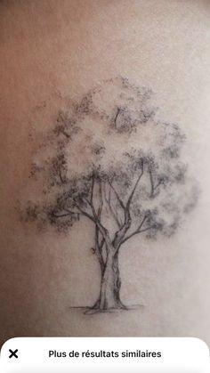 the back of a woman's shoulder with a tree tattoo on it