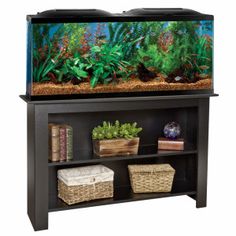 a fish tank sitting on top of a wooden shelf filled with plants and other items