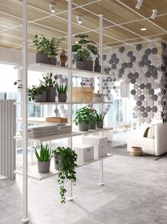 an office with plants on the shelves