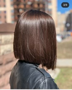 Semi Bob Haircut, Medium Brown Bob Haircut, Bob Hairstyles Brunette Straight, Brown Bob Haircut Straight, Brunette Short Straight Hair, Straight Brunette Bob, Short One Length Haircut, Black To Chocolate Brown Hair, Bluntcut Bob Brunette