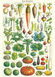 an old book with many different vegetables on it