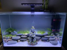 an aquarium with rocks and plants in the water, including a buddha figurine