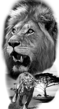 a lion and a tiger are shown in this black and white photo with the same image