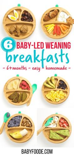 baby - led weaning breakfast trays are the perfect way to start your child's day off right now