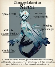 the characteristics of an siren mermaid