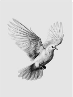 a black and white photo of a bird flying