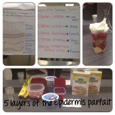 five layers of the eplorms parfait