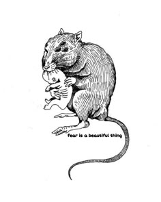 a drawing of a rat holding a mouse