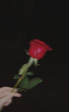 a red rose being held in the dark by someone's hand with blurry background