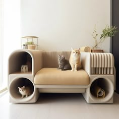 two cats sitting on a couch made out of pipes