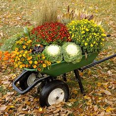 a wheelbarrow filled with lots of flowers and vegetables