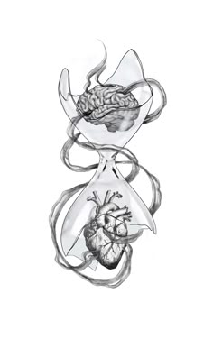 a drawing of a human heart in a bag with the brain inside it, and an organ attached to each other