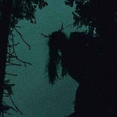 the silhouette of a person standing in front of trees at night with their head down