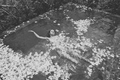 a woman swimming in a body of water surrounded by trees and flowers on the ground