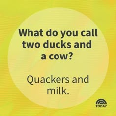 a yellow background with the words, what do you call two ducks and a cow?